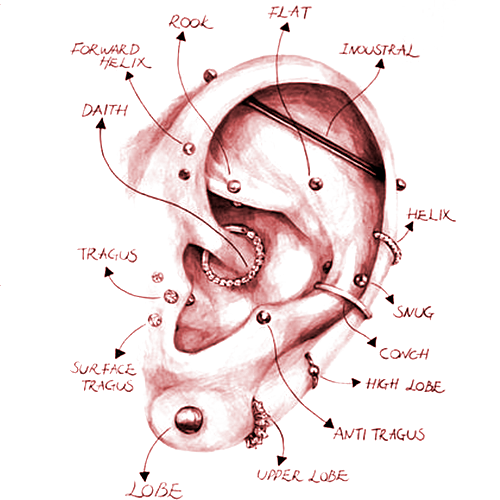 Piercings de la oreja